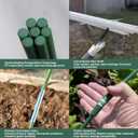 6 Sets Garden Hoops for Raised Beds & 30PCS Tomato Clips, Greenhouse Hoops for Netting, Rust-Free Diameter 0.23” Fiberglass Plant Support Garden Stakes Can Cover 2.8ft-3.5ft in Width (36PCS+30 Clips)