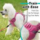 BARKBAY Dog Harness No Pull Mesh for Small Dogs - Adjustable, Reflective, Comfortable, No Choke, Heavy-Duty - Perfect for Outdoor Training, Walking, and Hiking - Strong & Durable - XS & Pink Mesh