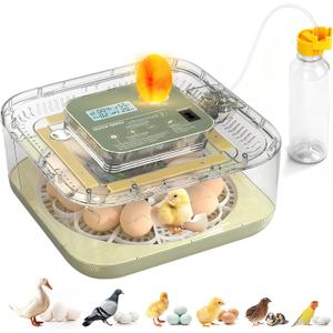 Fully Automatic Egg Incubator for Hatching Eggs, Auto Water Refill & Turner, 12 Egg Capacity (24 Quail), LED Candler, Fahrenheit Display Hatcher for Chickens Ducks Birds, Beginner Friendly
