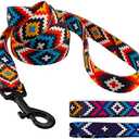 CollarDirect Aztec Dog Leash Nylon Tribal Pattern Cat Pet Leashes for Small Medium Large Dogs Puppy Lead 5 FT Long for Walking (Pattern 3, S, New), 2 Pack
