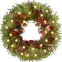 Rocinha 24'' Artificial Christmas Wreath with Lights, Red Berry & Pine Cones, Battery Operated Christmas Wreaths for Front Door, Window, Fireplace, Wall, Christmas Decorations for Indoor and Outdoor