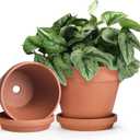 INGOFIN Terracotta Pots Set with Saucer - 2-Pack Ceramic Clay Planters with Drainage Hole, Garden Flower Succulent Pots with Tray for Indoor Outdoor Plants, 8 inch, Set of 2