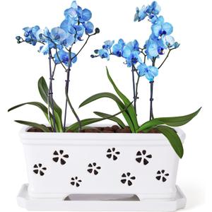 10 Inch Rectangle Ceramic Orchid Pot with Holes & Saucer - White, Effective Drainage & Ventilation for Indoor Orchids