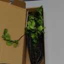 Artificial Greenery Stem Faux Plant for Home Decoration Lifelike Greenery Stems for Vase for Indoor Outdoor Floral Arrangements and Party Settings