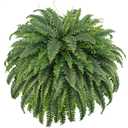 Fake Ferns, 50IN Single Realistic Large Faux Plants with 96 Fronds, Artificial Boston Ferns for Outdoors Home DIY Plant Wall Garden Porch Entrance Decor