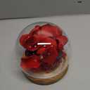 Preserved Flower Red Rose in Glass, Eternal Roses Gifts for Women, Mom, Girlfriend, Wife, Her on Christmas, Valentine's Day, Mother's Day, Birthday, Anniversary