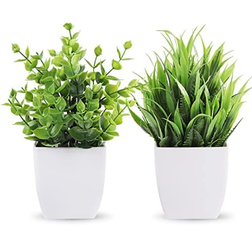 Der Rose 2 Pack Small Fake Plants Mini Artificial Potted Plants for Table Desk Home Bathroom Office Decor
