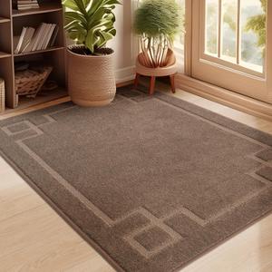 BEQHAUSE Door Mat 32" x 48", Non-Slip Door Mats Indoor Entryway Rugs Washable Low-Profile Absorbent and Stain Resist Floor Mats, Dog Door Mat for Front Back Door, Muddy Wet Shoes & Paws, Brown
