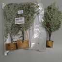 Winlyn 3 Pack Mini Artificial Cedar Trees with Pinecones and Wood Bases Small Tabletop Christmas Trees for Winter Rustic Farmhouse Christmas Holiday Seasonal Indoor Table Centerpiece Desk Decoration