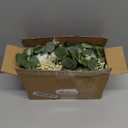 Artificial Eucalyptus Leaves Wreath for Candle Holders Greenery Decor for Home Table Centerpiece Farmhouse Style Season Wall and Door Garland