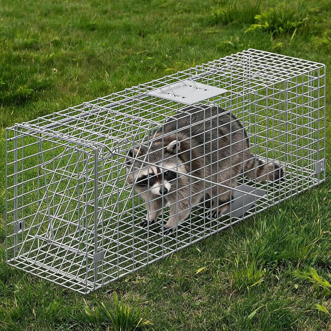 36-Inch Foldable Catch & Release Cage, Heavy Duty Steel Live Trap with Sensitive Pedal Trigger & Carry Handle for Raccoons, Squirrels, Cats, Rabbits, Skunks, Foxes, Groundhogs, Armadillos