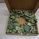 Eucalyptus Wreaths for Front Door 20", Handmade Green Leaves Wreath for Summer, Spring and All Seasons, Greenery Floral Wreath for Wall and Outside