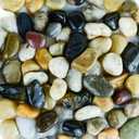2 lbs Approx. 65 River Rocks Stones for Plants Pebbles for Indoor Plants | Aquarium Fish Tank Rocks | Polished Decorative Rocks for Vases (0.8-1.6 Inches)