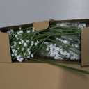 LYLYFAN Babys Breath Artificial Flowers,18 Pcs Gypsophila Faux Flowers for Wedding Party Home Garden Decoration White