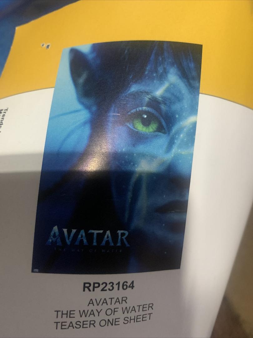 Posters Avatar 34L x 22.4W