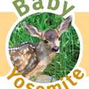 Baby Yosemite