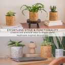 BASE ROOTS Mushroom Planter, Speckled Terracotta, Indoor/Outdoor, Holds Small Plants