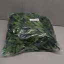 mizii Artificial Vines Garland 10 Feet Faux Italian Ruscus Vine Greenery Garland Silk Green Leaves Decoration Fake Plants Greenery for Table Centerpieces Home Room Wall Wedding Arch Decor (10 feet)