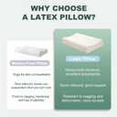 100% Natural Premium Latex Pillow, Breathable Latex Cervical Pillow for Side & Back Sleepers, Side Sleeper Pillow for Neck Pain Relief, Medium Firm Support