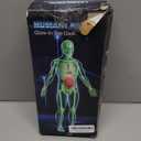 CHMYWJ Glow-in-the-Dark Human Body Anatomy Model Science Skeleton Kits Model for Kids Contains 40 Skeleton Toy with Removable Bones and Organs STEM Educational Toys for KidsFestival and Birthday Gifts