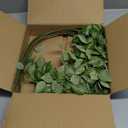 HyeFlora 5PCS Artificial Eucalyptus Leaves Stem Plants for Spring Decor, 32.7 inch Fake Leaves Greenery Branches Green Shrubs Silk Faux Foliage DIY Stems for Festival Home Kitchen Farmhouse(Green)