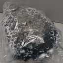 23.7 inch Large Seal Plush Pillow: Soft Stuffed Animal Toy ,Chubby Blob Seal Plushie for Boys Girls, Cute Room Decor Ocean Animals Pillow for Bed Sofa, Kids Gifts for Birthday, Valentine, Christmas