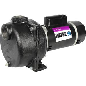 WAYNE WLS200 - 2 HP Cast Iron High Volume Lawn Sprinkling Pump - Up to 4,200 Gallons Per Hour - Heavy Duty Outdoor Pump for Sprinkler Systems