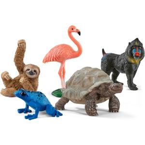 Schleich Wild Life - 5PC Exotic Animal Starter Playset Figurine Bundle - With Flamingo, Sloth, Frog, Giant Tortoise and Monkey Figures for Boys and Girls - Realistic Animal Toys Kids Ages 5+ | 77590