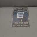 Funny Cat Sign Vintage Cat Wall Art Cat Metal Tin Signs Cat Decor Gifts For Cat Lovers Cat Posters You Mess With The Meow Meow You Get The Peow Peow Sign 8x 12 Inch