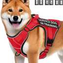 Service Dog in Training Vest, Reflective Do Not Pet Dog Harness with Handle and 6 Patches, Full Metal Buckles, for Medium Dogs Training Walking
