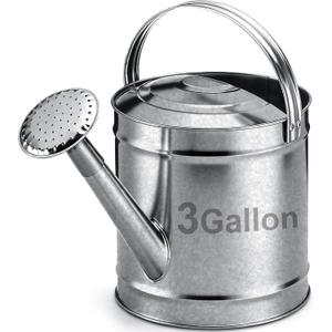 Geetery 3 Gallon Galvanized Steel Watering Can Large Metal Watering Can with Removable Spout, Rust-Resistant Vintage Farmhouse Style for Outdoor Indoor Garden, Patio, Flowers and Plants