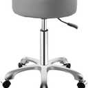 Rolling Stool with Wheels, Thick Cushion Heavy Duty Esthetician Hydraulic Chair Stool for Work Medical Tattoo Salon Office (Grey)