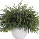 16 Pcs Real Touch Christmas Norfolk Pine Stems