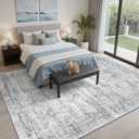 Soalmost 7x9 Area Rug for Living Room Washable Abstract Vintage Soft Thin Indoor Floor Non-Slip Carpet for Bedroom Dining Room Grey