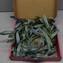 Hairui Lighted Artificial Olive Garland 6FT 96 LED Fairy Lights Battery Operated, Faux Vine Lights with Timer for Spring Christmas Holiday Fireplace Dcor