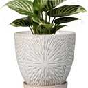 G EPGardening 6 Inch Plant Pot for Indoor Plants Outdoor Round Ceramic Planter Decorative Flower Pot with Drainage Hole and Saucer White (Sunflower White)