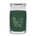 Yankee Candle Balsam & Cedar Scented Signature 20oz Large Jar 2-Wick Candle Over 60 Hours of Burn Time Christmas | Holiday