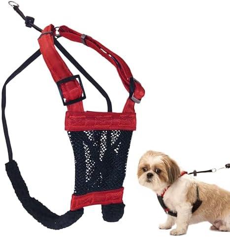 Sporn No Pull Dog Harness for Small-Sized Dogs - Red Mesh, Heavy Duty Nylon, Breathable, Lightweight, Adjustable, Padded, Soft & Easy, Anti-Pull & Anti-Rub Body Halter, Small Dog Harness for Puppies, Size: Small