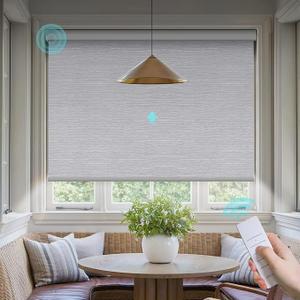 Motorized Blinds with Remote: Canisteo Battery Powered Control Electric Smart Roller Blinds Shades with Remote for Windows Cordless 100% Blackout, Essential White, 28x72