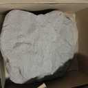 Emsco Group Landscape Rock Natural Sandstone Appearance Low Profile Boulder