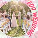Yinder 24 Set Pastel Wedding Colored Flowers Chair Sashes Aisle Decoration Set 9 ft Long Draping Fabric Sheer Church Chair Cover Bulk Decor for Wedding Bridal Shower