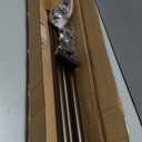 Heavy Duty Curtain Rods,1 1/4" Large Diameter Premium Nonadjustable Curtain Rod,60in/5ft Custom Window Treatment Rods with Durable Aluminum Brackets and End Caps,Dark Bronze Finish