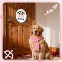 Valentines Day Door Decorations, Valentine Sign for Front Door Indoor Outdoor Porch Wall Decor, Valentine's Day Hanger for Cat Dog Lovers Party Decoration - B07