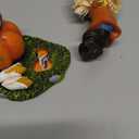 Hodao Thanksgiving Scarecrow with Turkey and Pumpkin Decoration, Fall Harvest Figurine Gift - Rustic Farmhouse Table Decor, Autumn Centerpiece for Home, Porch, Holiday Display (Green)