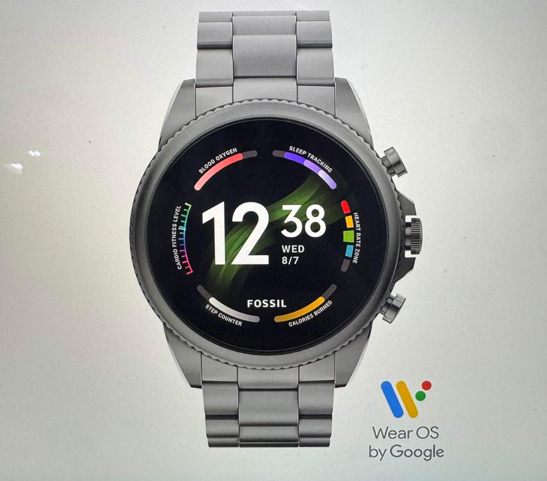Gen 6 Smartwatch Smoke Stainless Steel