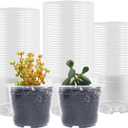 100 Pack 2.8 Inches Clear Plant Pots with Drainage Holes, Transparent Seeding Nursey pots, Round Plastic pots for Seeds Starter, Seeds Germination