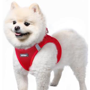 rabbitgoo Small Dog Harness, Step-in Soft Mesh Puppy Vest with Safety Buckle, Breathable Reflective Pet Harness for Small Sized Dogs, Red S (S(Chest:15.1"-16.5"))
