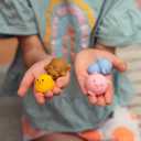 Nutty Toys Animal Squishies, 20 Soft & Cute Kawaii Fidgets | Top Classroom Prizes, Bulk Pinata & Easter Egg Fillers | Unique Gifts for Kids, Teens, Adults | Best Boys & Girls Valentines Day Idea 2026
