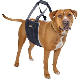 Mighty Paw Dog Lift Harness - 20-60 lbs Dog Hip and Hind Leg Support Sling - Comfortable Assistance for Elderly or Injured Pets with Hip and ACL Brace - Back Support Harness Carrying Sling - Medium Mighty Paw Dog Lift Harness - 20-60 lbs Dog Hip and Hind Leg Support Sling - Comfortable Assistance for Elderly or Injured Pets with Hip and ACL Brace - Back Support Harness Carrying Sling - Medium