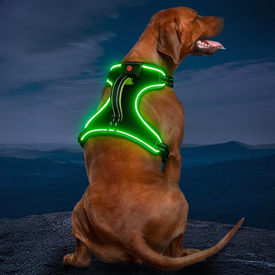Rechargeable LED Dog Harness - No Pull, 4 Point Adjustable (Black-Green) M